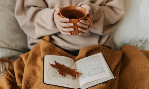 Learn more about FUZE Ballpark Cover Image